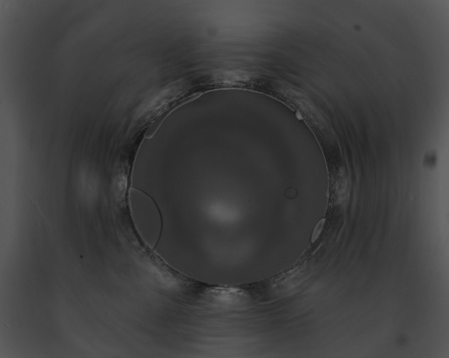 X0000091670427200708301503