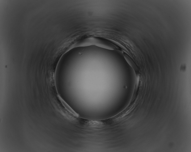 X0000091670429200708301503