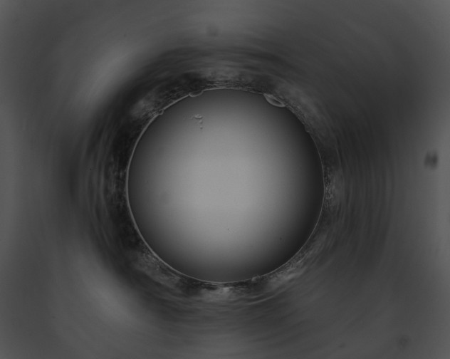 X0000091670430200708301503