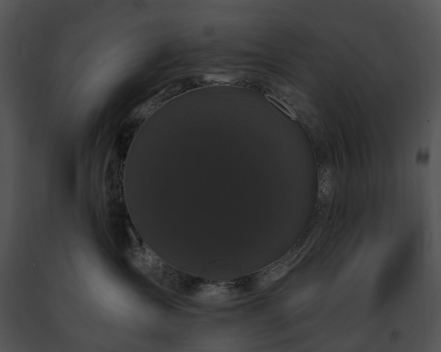 X0000091670431200708301503