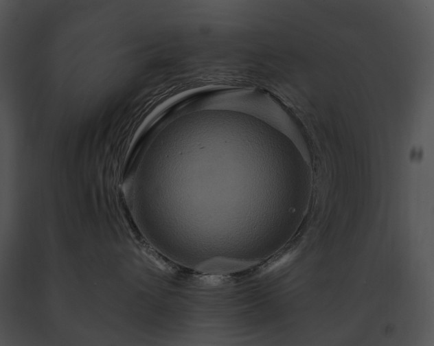 X0000091670432200708301503