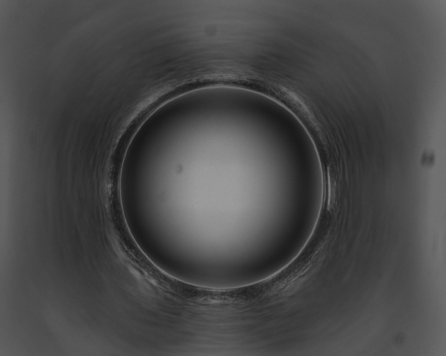X0000091670435200708301502