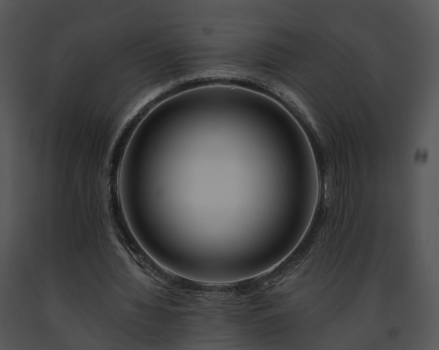 X0000091670436200708301503