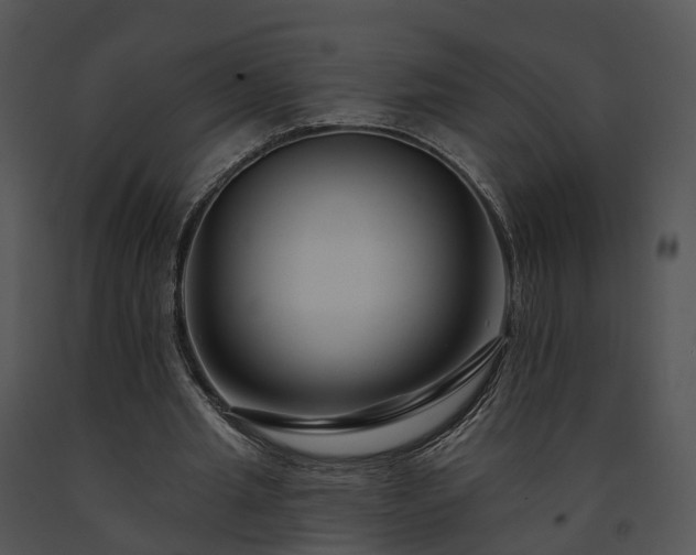 X0000091670437200708301503