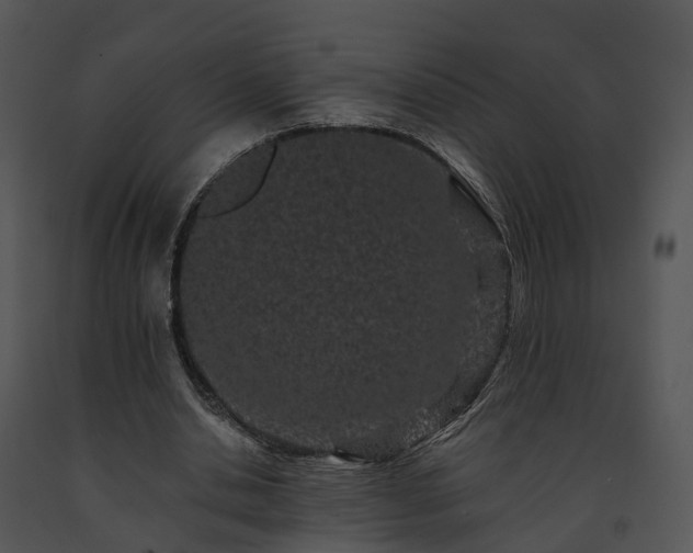 X0000091670438200708301503
