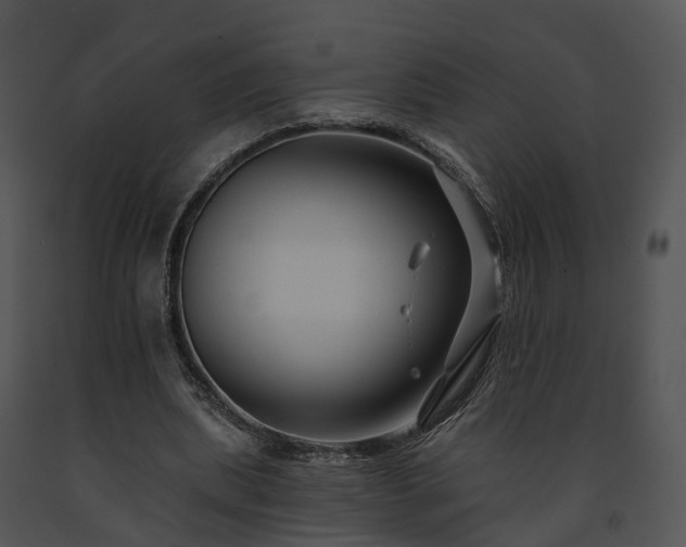 X0000091670439200708301503