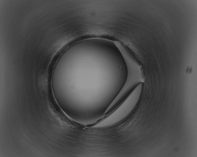 X0000091670440200708301503