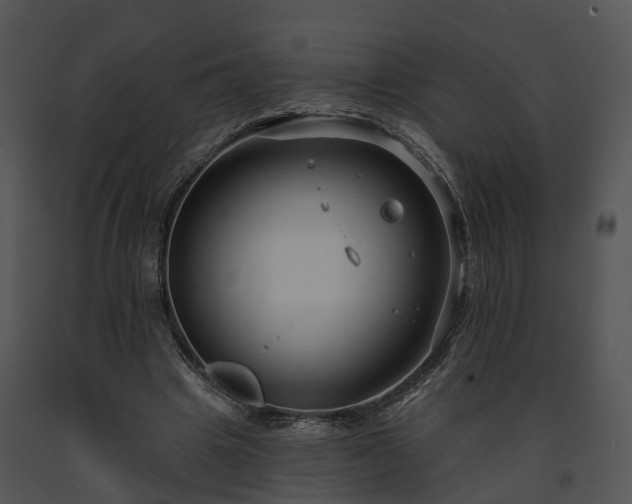 X0000091670441200708301503