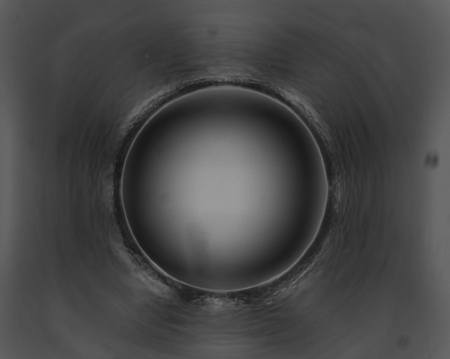 X0000091670442200708301503