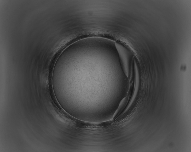 X0000091670443200708301503