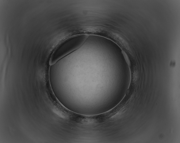 X0000091670444200708301503