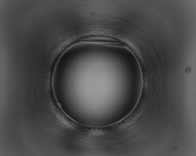X0000091670445200708301503