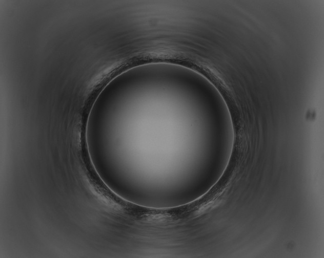 X0000091670446200708301503