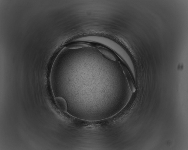 X0000091670447200708301503