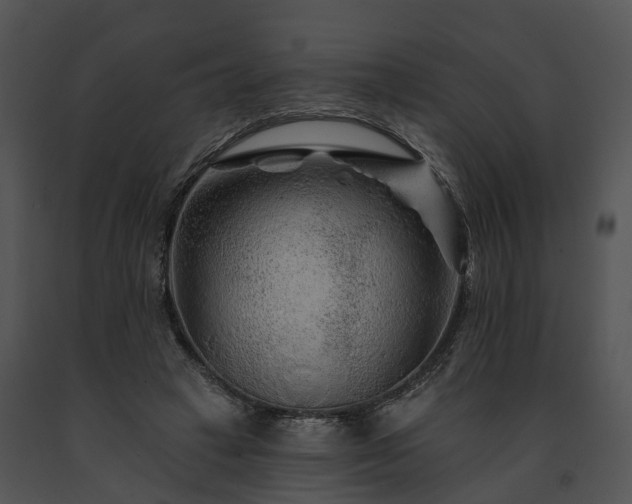 X0000091670449200708301503