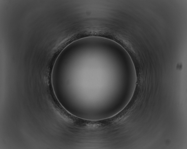 X0000091670450200708301503
