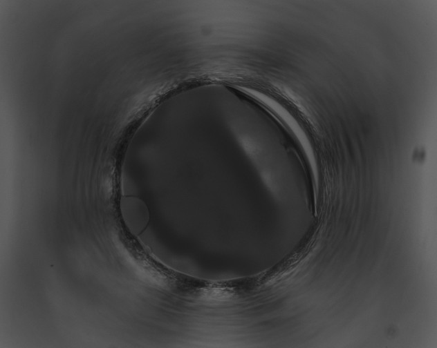 X0000091670451200708301503