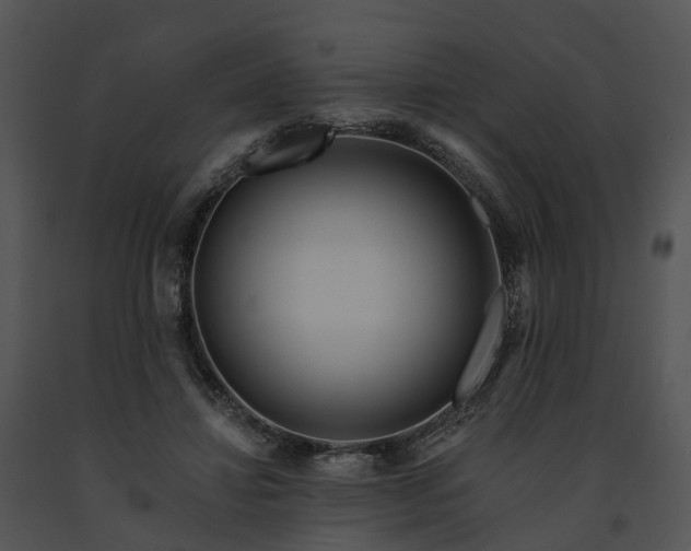 X0000091670452200708301503