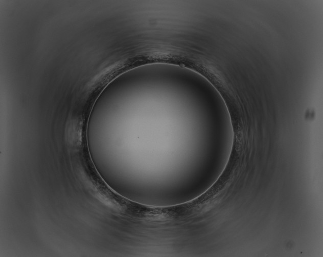 X0000091670454200708301503