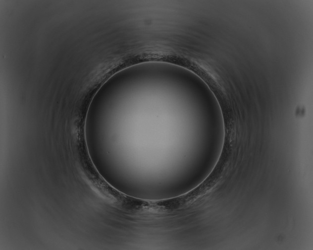 X0000091670455200708301503