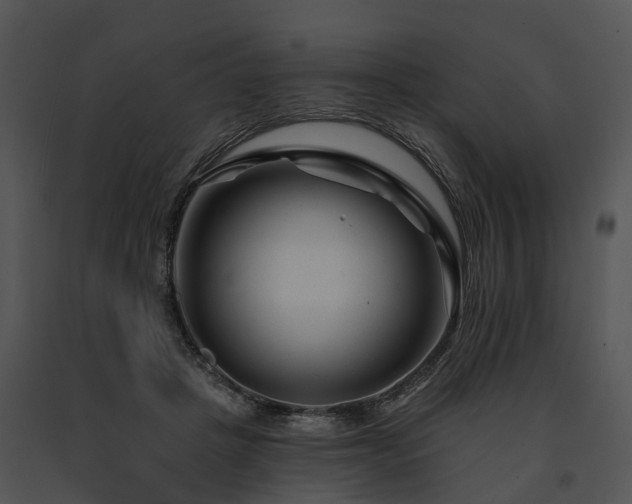 X0000091670457200708301503