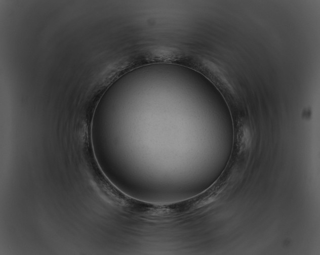 X0000091670459200708301503
