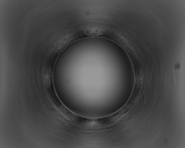 X0000091670460200708301503