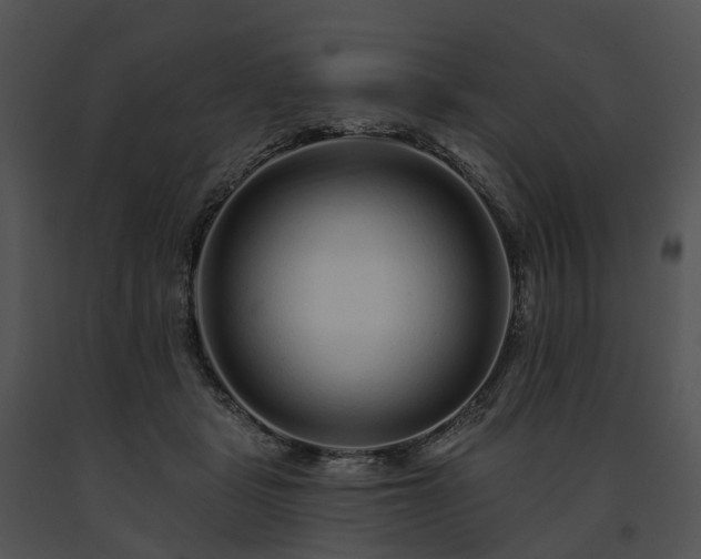 X0000091670461200708301503