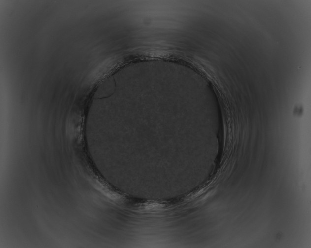 X0000091670462200708301503