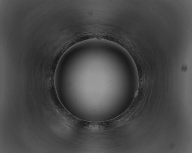 X0000091670464200708301503