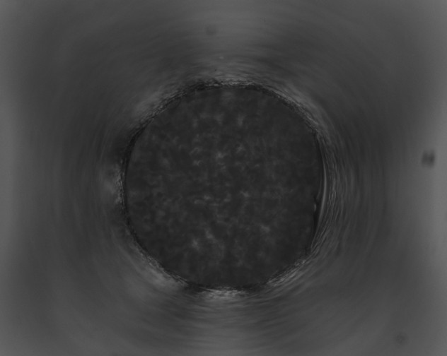 X0000091670465200708301503