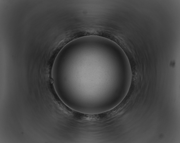 X0000091670466200708301503