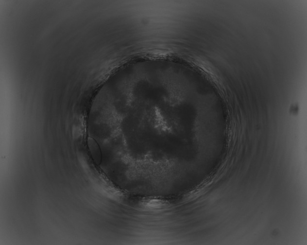 X0000091670467200708301503