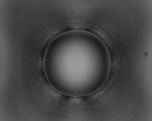 X0000091670469200708301503