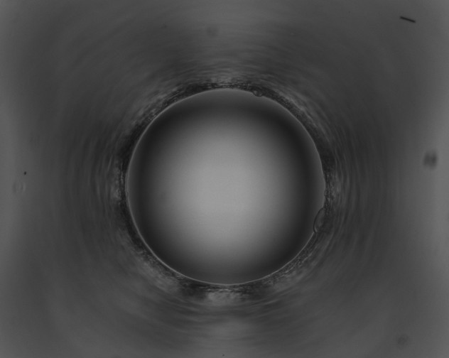X0000091670470200708301503