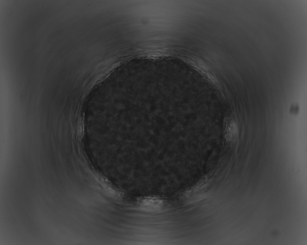X0000091670471200708301503