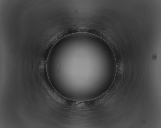 X0000091670472200708301503