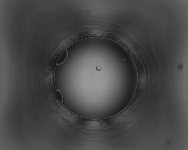 X0000091670473200708301503