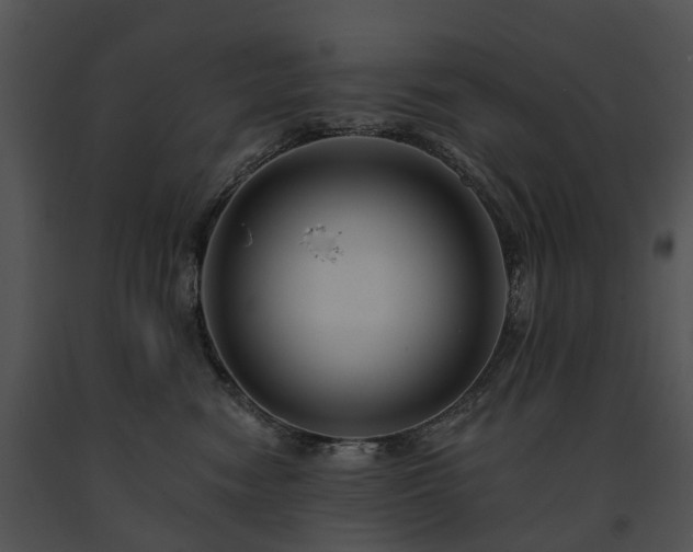 X0000091670474200708301503