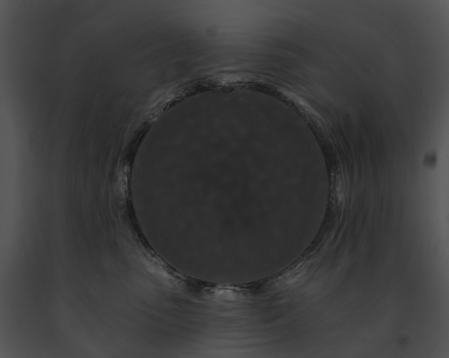 X0000091670475200708301503