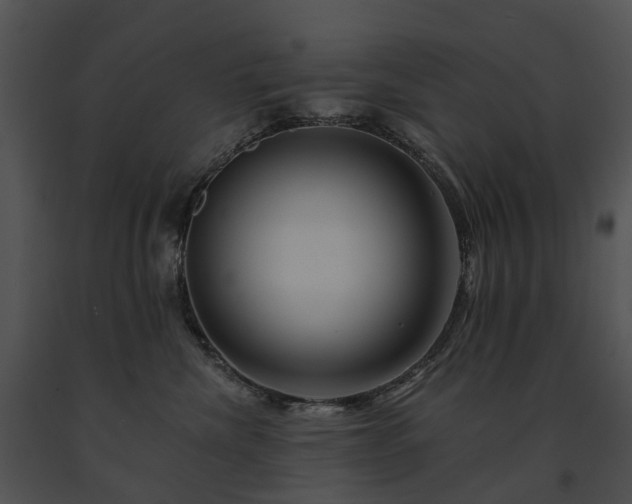 X0000091670476200708301503