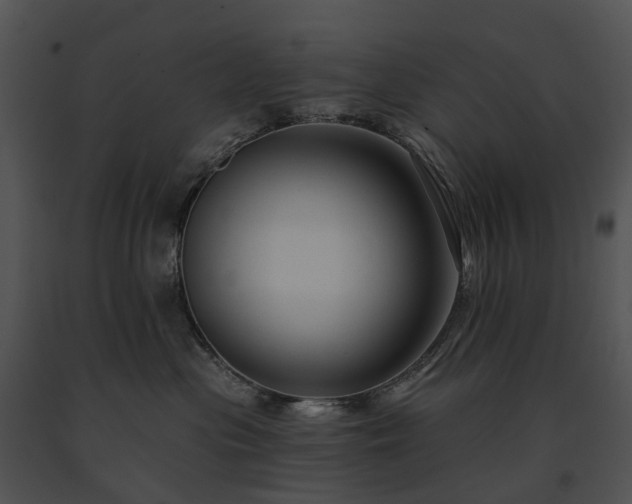 X0000091670477200708301503