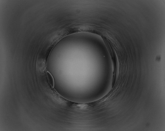 X0000091670478200708301503