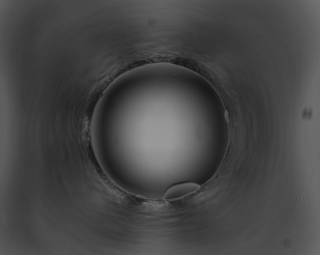 X0000091670480200708301503