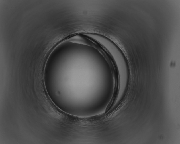 X0000091670481200708301502