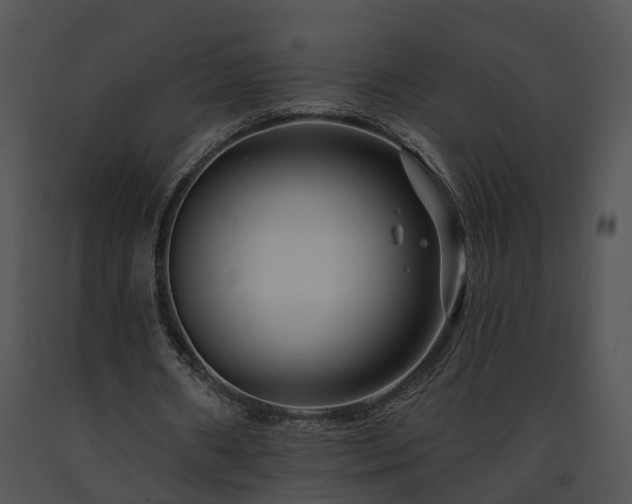 X0000091670482200708301502