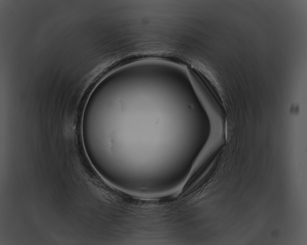 X0000091670483200708301502