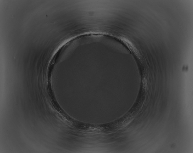 X0000091670484200708301502