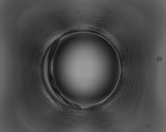 X0000091670485200708301502