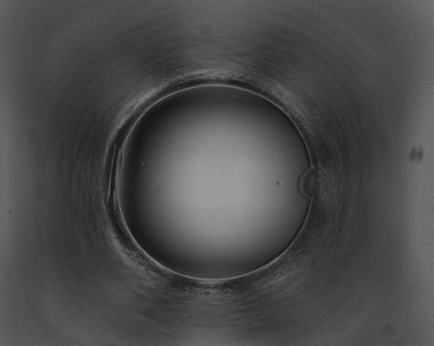 X0000091670486200708301502